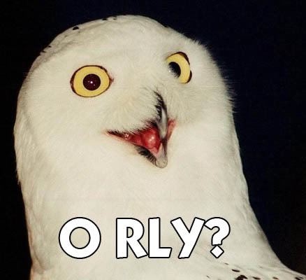 Name:  Orly.jpg
Views: 31
Size:  24.1 KB