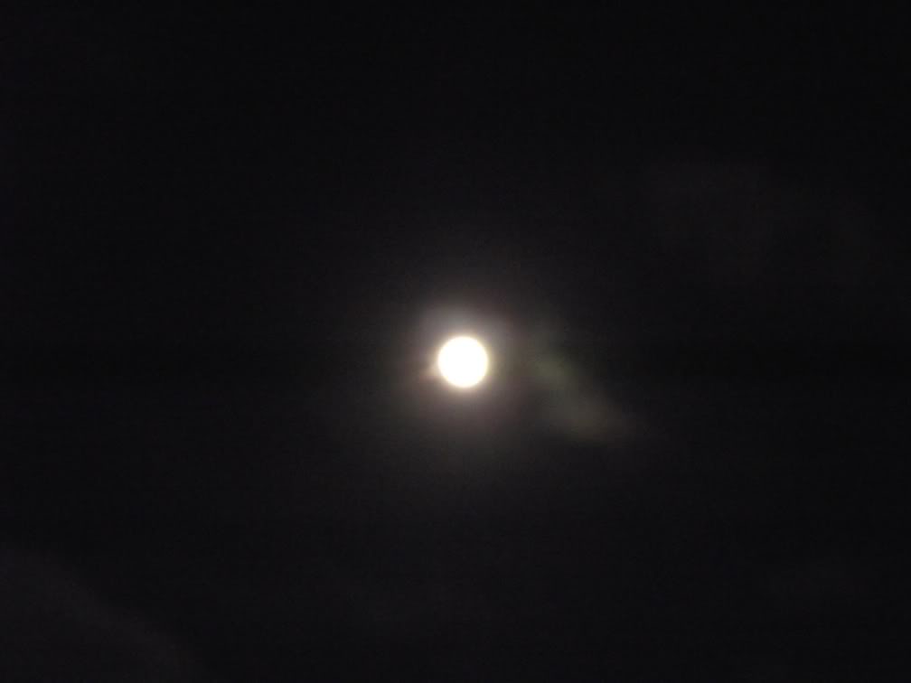 Name:  Moon2011026.jpg
Views: 21
Size:  17.8 KB