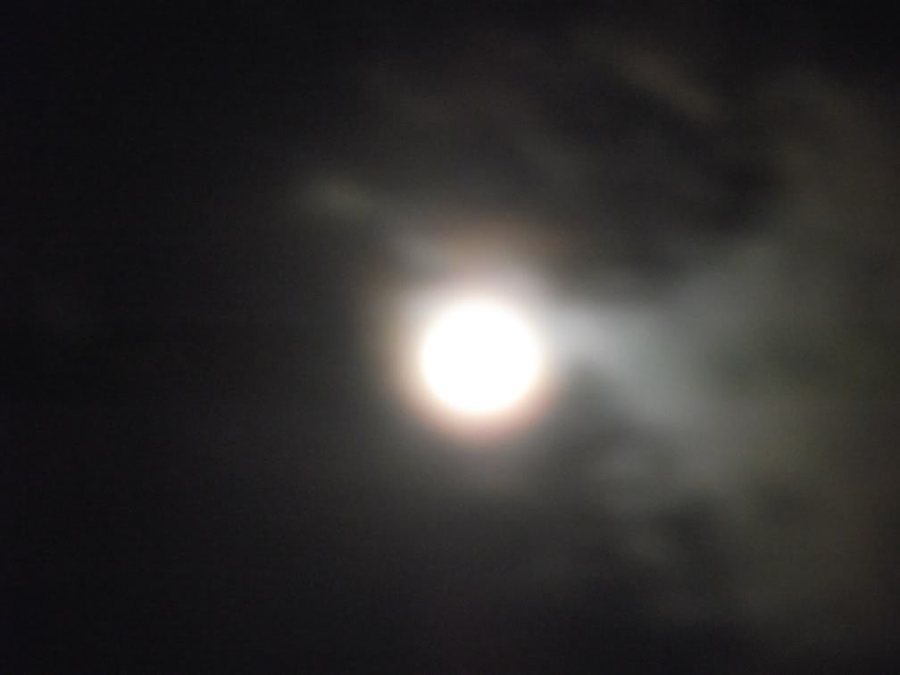 Name:  Moon2011017.jpg
Views: 19
Size:  25.1 KB