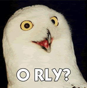 Name:  owl-orly-wtf.gif
Views: 115
Size:  135.7 KB