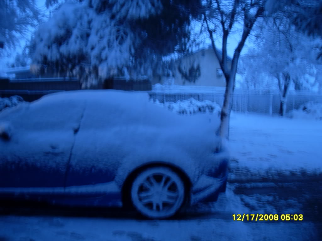 Name:  SDC10141.jpg
Views: 31
Size:  99.6 KB