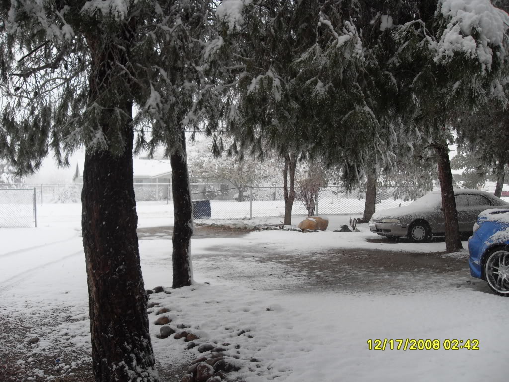Name:  SDC10109.jpg
Views: 33
Size:  230.3 KB