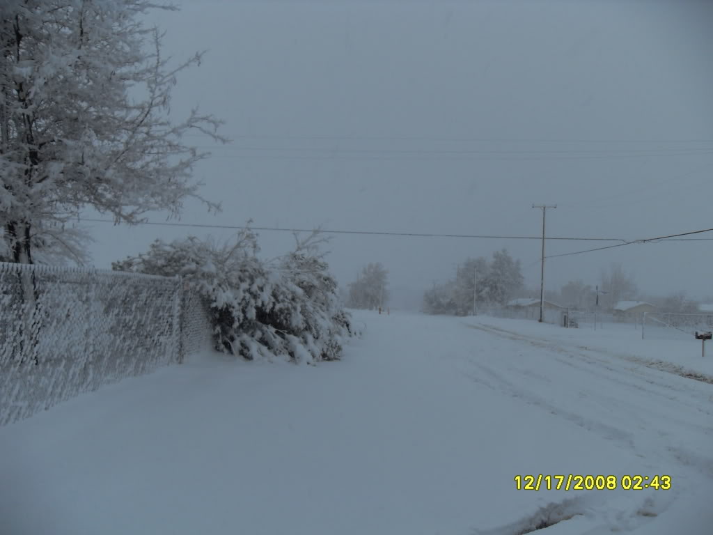 Name:  SDC10113.jpg
Views: 32
Size:  83.7 KB