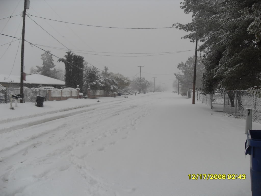Name:  SDC10115.jpg
Views: 31
Size:  103.5 KB