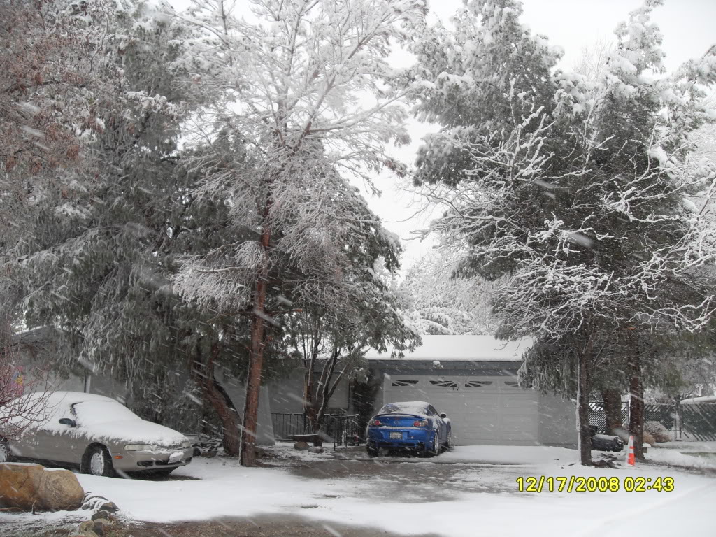 Name:  SDC10117.jpg
Views: 28
Size:  275.3 KB