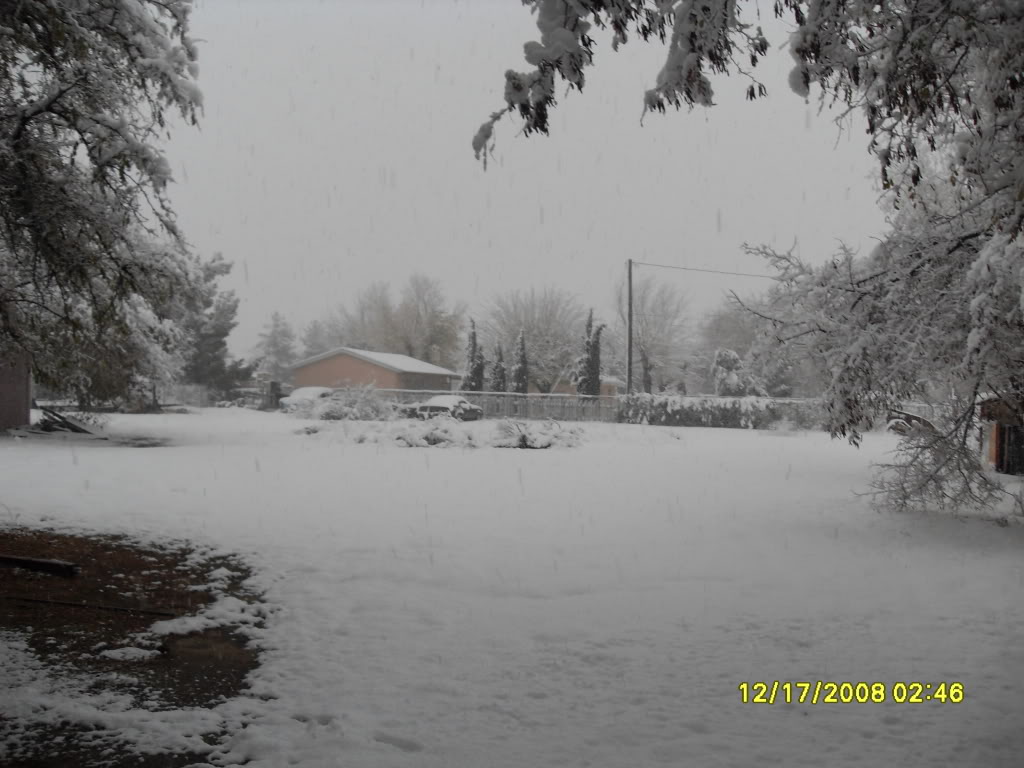 Name:  SDC10124.jpg
Views: 30
Size:  128.7 KB