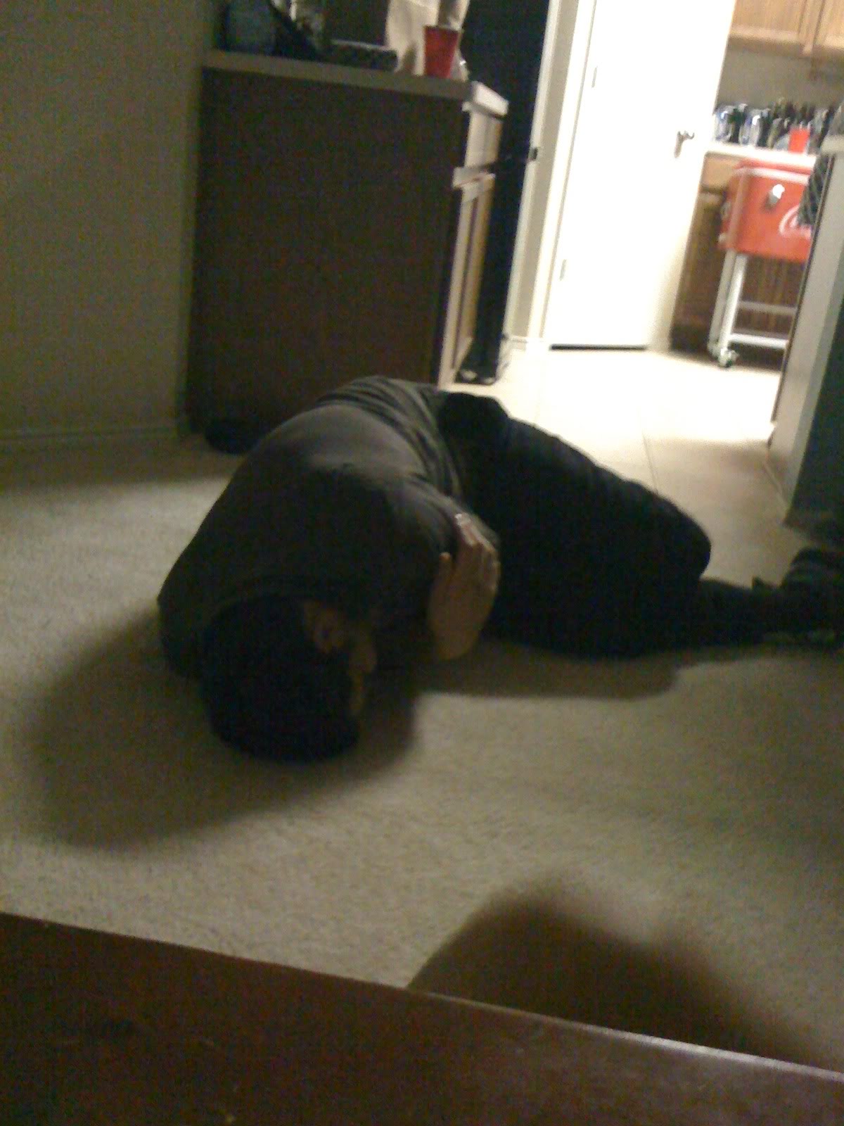 Name:  LifeAlert.jpg
Views: 19
Size:  187.5 KB