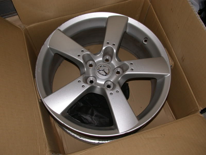 Name:  DSCN5824.jpg
Views: 27
Size:  91.6 KB