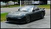 For all you FIEBRUS-p1020131-large-.jpg