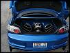 IL Spotted Zone-bluerx8-3.jpg