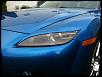 St Louis area 8 owners-eyelids4.jpg