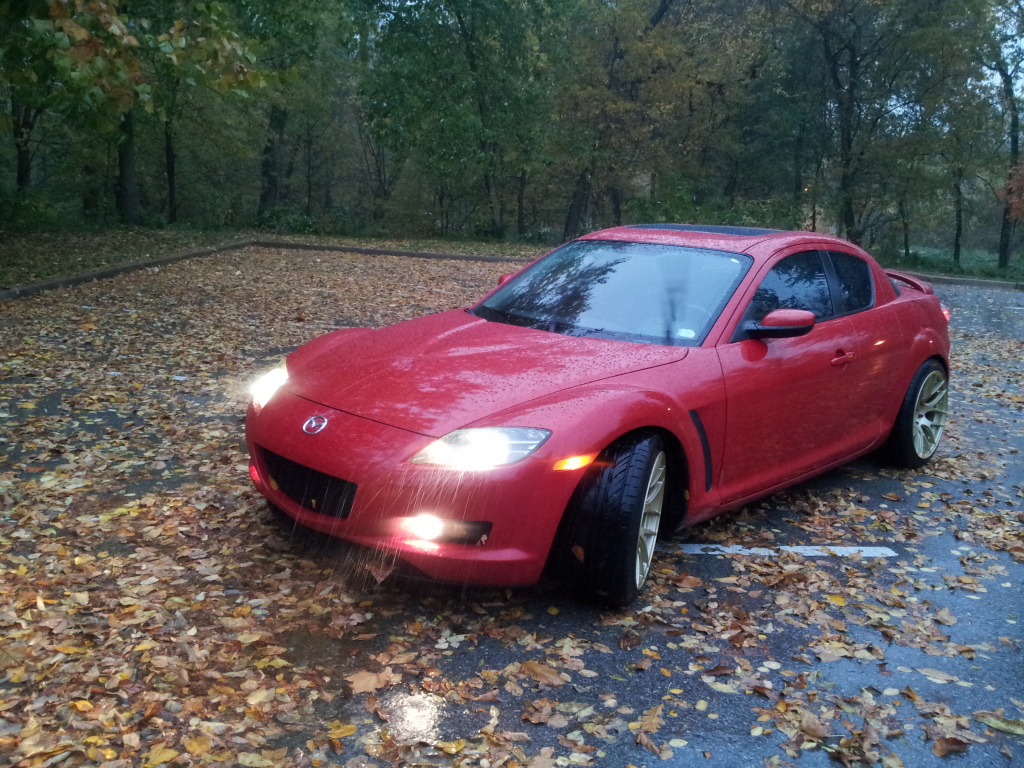 Name:  20121017_173532_zps8e73cbb4.jpg
Views: 83
Size:  510.3 KB