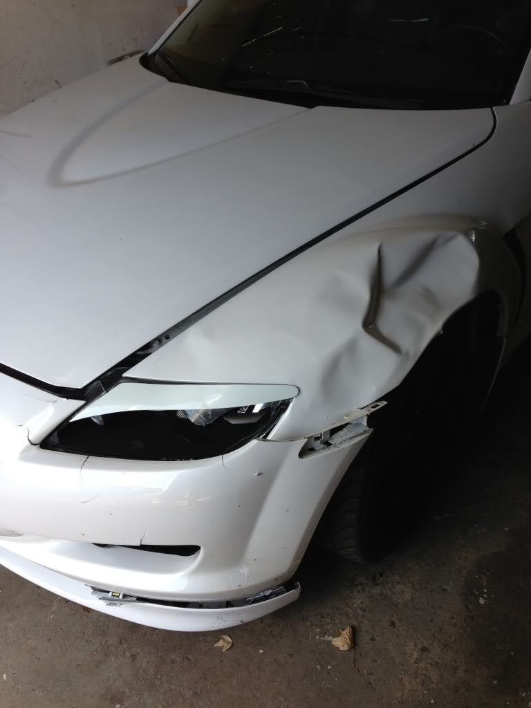 Name:  deer3.jpg
Views: 83
Size:  60.7 KB