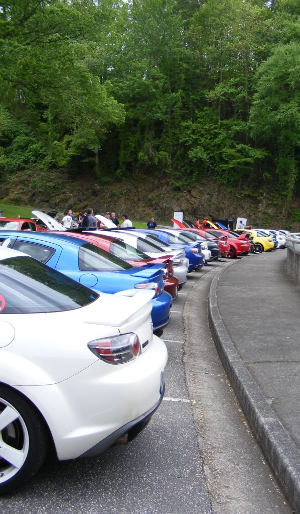 Name:  DGRR20128butts.jpg
Views: 49
Size:  169.9 KB