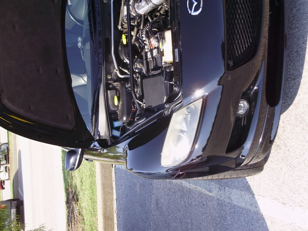 Name:  P9270282.jpg
Views: 70
Size:  172.0 KB