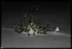 HOLY SNOW in massachusetts-img_0003.jpg