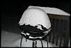 HOLY SNOW in massachusetts-img_0012.jpg