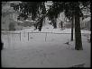 Akron/Cleveland 8 Owners.-snow.jpg