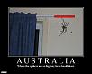 Akron/Cleveland 8 Owners.-australiaspiders.jpg
