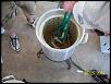 Monthly Sushi Night for Lower Tri State Rotaries(MD,PA,DE)-100_2028.jpg