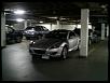 Stamford CT Sightings-another8-2-.jpg