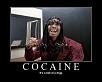 Tri-State and Surrounding areas lounge-cocainehellweb.jpg