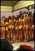 Imports vs. Domestics car and drag show Nov. 8th in Budds Creek, MD-backshot.jpg