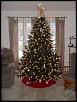 Maryland People!-christmas-tree.jpg