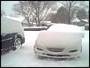White Madness '09-1220091024a.jpg
