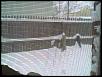White Madness '09-1220091034a.jpg