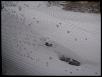 White Madness '09-mazda3.jpg