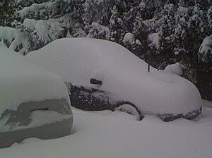 White Madness '09-picture-164.jpg