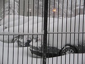 White Madness '09-arlingtonva_snow1.jpg