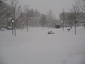 White Madness '09-arlingtonva_snow2.jpg