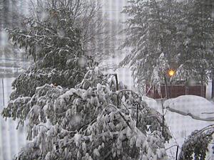 White Madness '09-arlingtonva_snow5.jpg