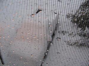 White Madness '09-arlingtonva_snow6.jpg