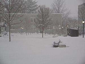 White Madness '09-arlingtonva_snow.jpg