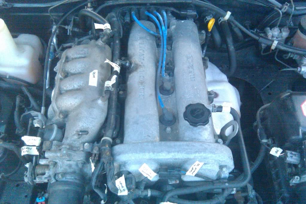 Name:  IMAG0391.jpg
Views: 71
Size:  120.9 KB