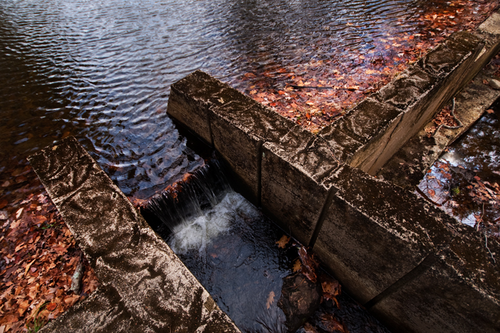 Name: Omar_Backroads2010_0381-2.jpg
Views: 43
Size: 484.6 KB