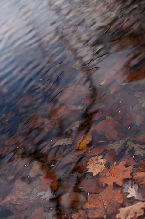 Name: Omar_Backroads2010_0374copy.jpg
Views: 48
Size: 267.4 KB