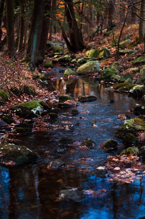 Name: Omar_Backroads2010_0392copy.jpg
Views: 40
Size: 444.8 KB