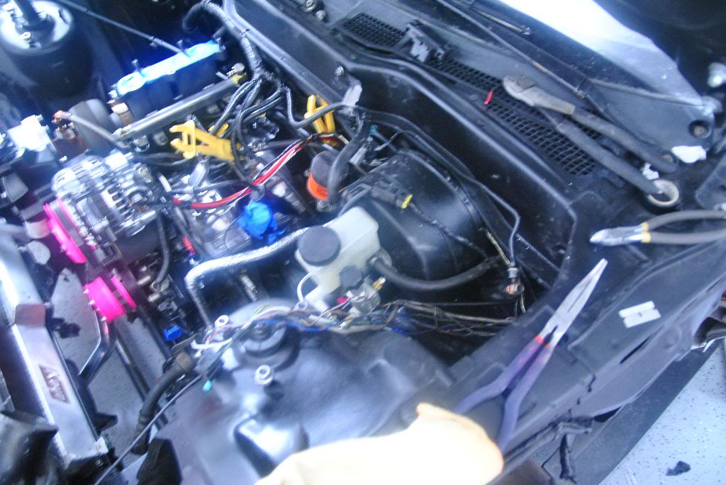 Name: DSC_0546.jpg
Views: 44
Size: 103.9 KB