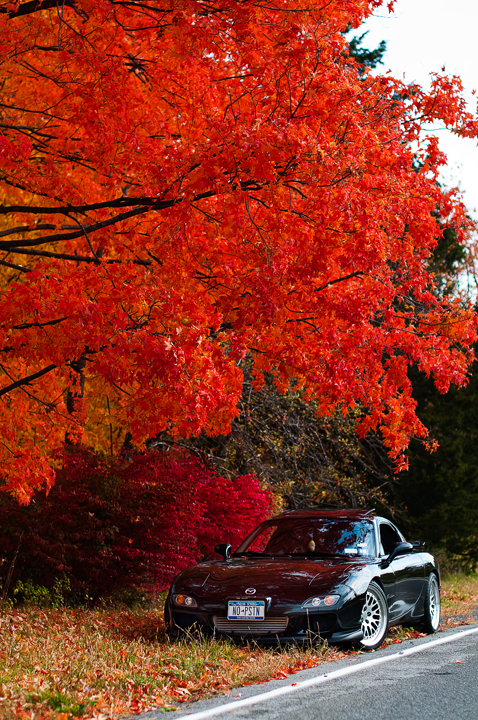 Name: DSC_0042copy-1.jpg
Views: 67
Size: 629.2 KB