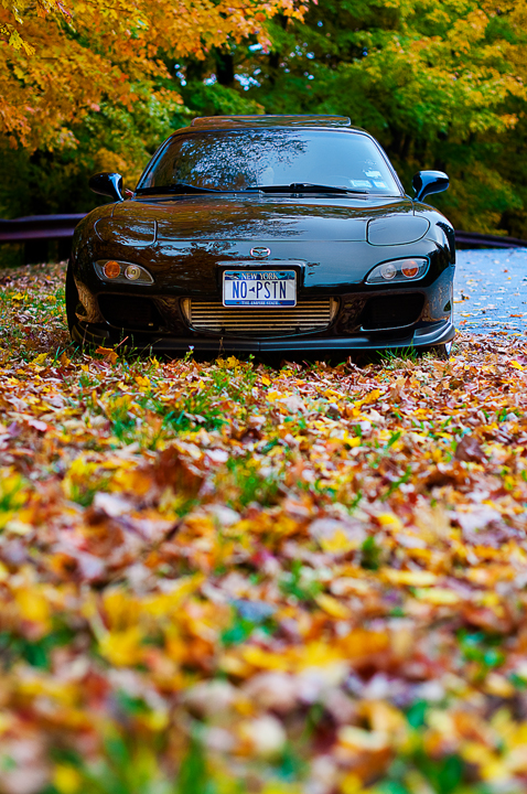 Name: DSC_0305copy.jpg
Views: 51
Size: 493.7 KB