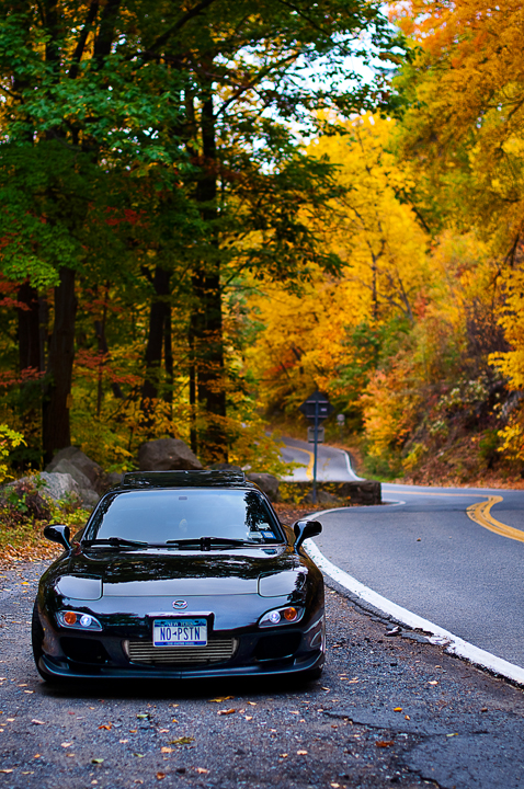 Name: DSC_0331copy.jpg
Views: 31
Size: 548.9 KB