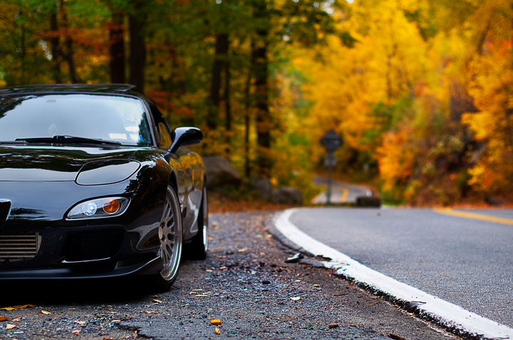 Name: DSC_0333.jpg
Views: 78
Size: 380.5 KB