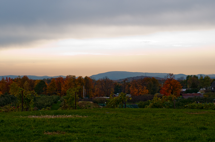 Name: Apple_Picking_10_0263.jpg
Views: 33
Size: 260.7 KB