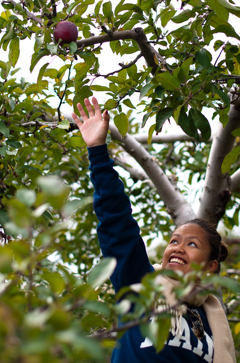 Name: Apple_Picking_10_0227copy.jpg
Views: 33
Size: 424.1 KB