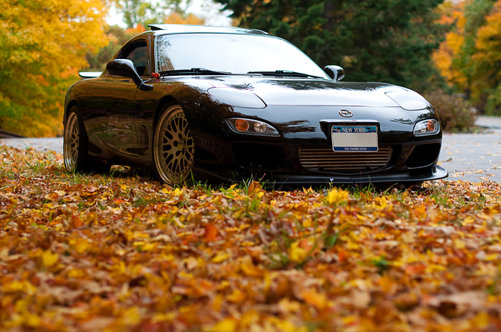 Name: DSC_0309.jpg
Views: 34
Size: 406.6 KB