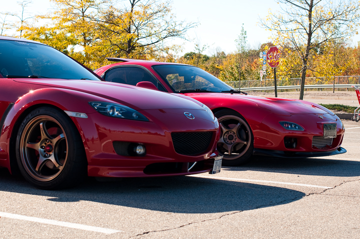 Name:  DSC_0050.jpg
Views: 17
Size:  446.2 KB